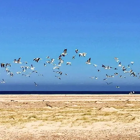 5 Star In Skagen-by Traum * Skagen